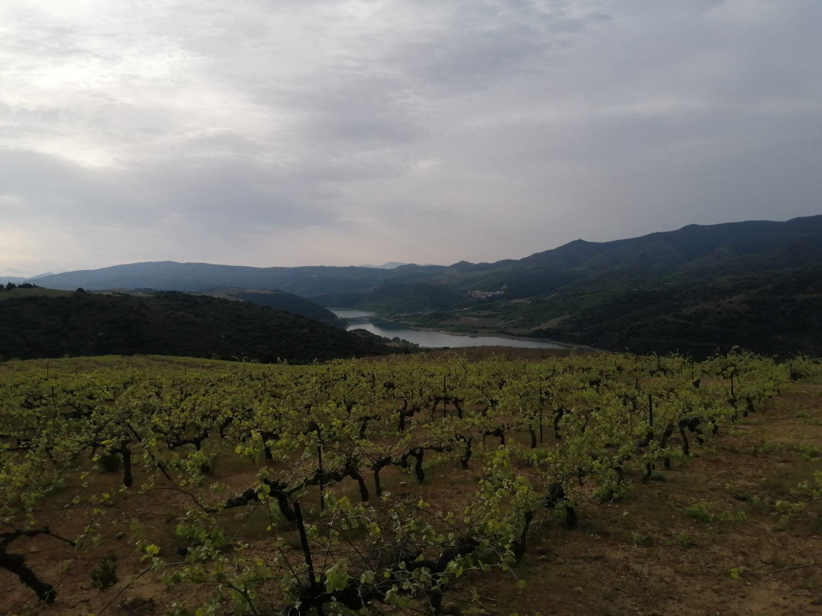 Foothills of Mont Canigou & Tramontane Winds