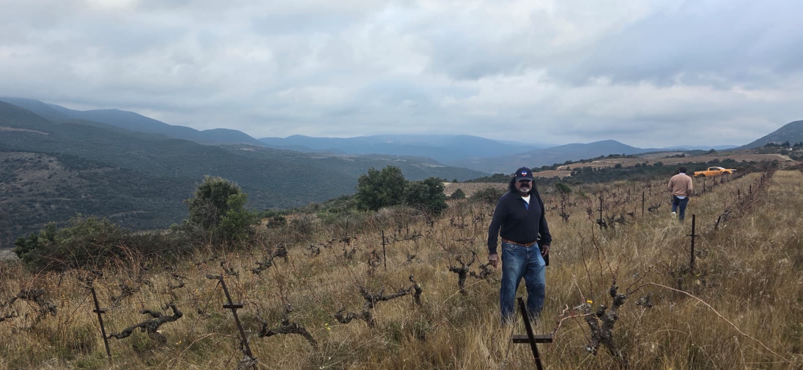 A Stroll Through the Vineyard photo 10