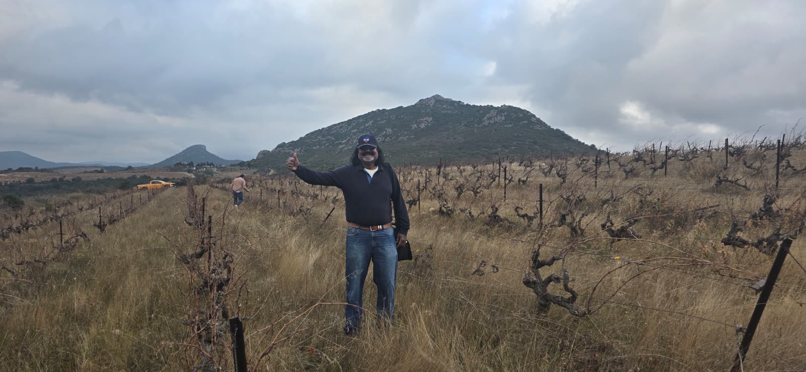 A Stroll Through the Vineyard photo 13