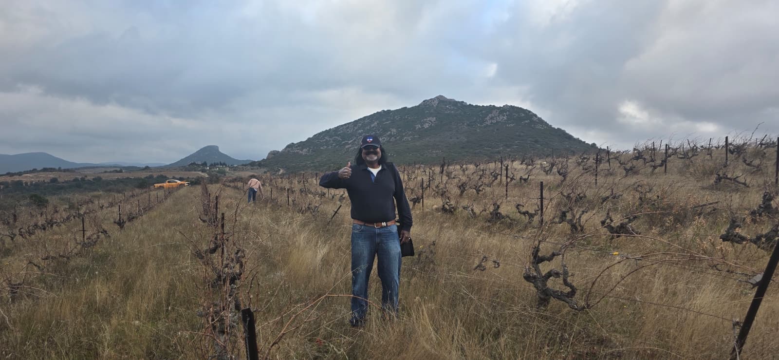 A Stroll Through the Vineyard photo 14